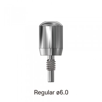 덴티안 힐링 어버트먼트 Regular ø6.0 (External)