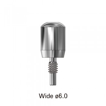 덴티안 힐링 어버트먼트 Wide ø6.0 (External)